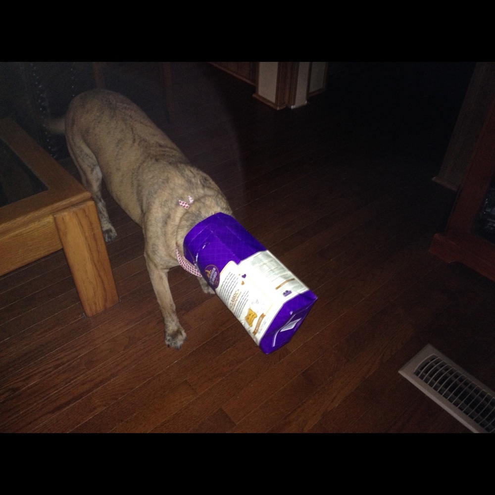 Meet your Posher, Heather